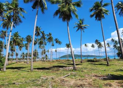 ขายที่ดินริมชายหาดเกาะสมุย