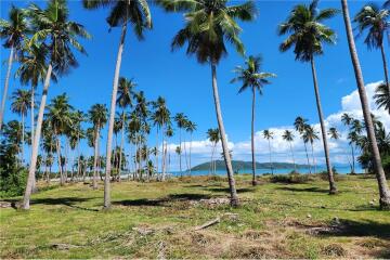 Beachfront Land Koh Samui for Sale