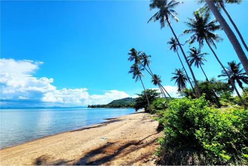 Beachfront Land Koh Samui for Sale