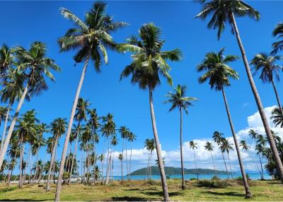 Beachfront Land Koh Samui for Sale