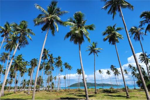 Beachfront Land Koh Samui for Sale