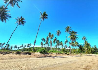 ขายที่ดินริมชายหาดเกาะสมุย