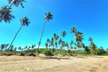 Beachfront Land Koh Samui for Sale