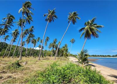 ขายที่ดินริมชายหาดเกาะสมุย