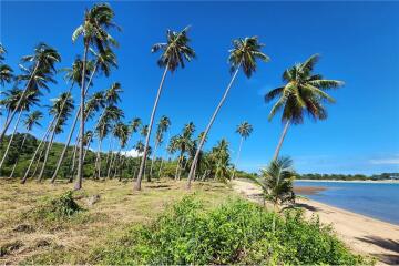 Beachfront Land Koh Samui for Sale