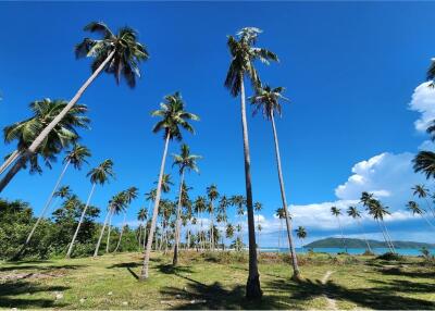 ขายที่ดินริมชายหาดเกาะสมุย