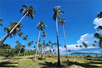 Beachfront Land Koh Samui for Sale