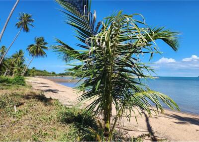 Beachfront Land Koh Samui for Sale