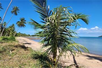 Beachfront Land Koh Samui for Sale