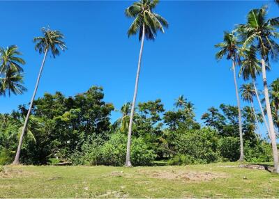 ขายที่ดินริมชายหาดเกาะสมุย