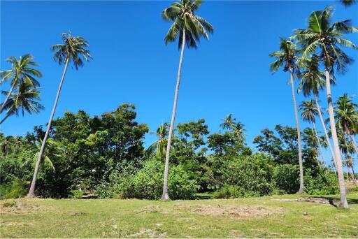 Beachfront Land Koh Samui for Sale