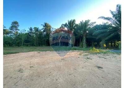 Flat Land Lipa Noi For Sale