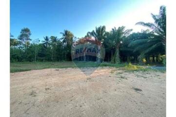 Flat Land Lipa Noi For Sale