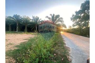 Flat Land Lipa Noi For Sale