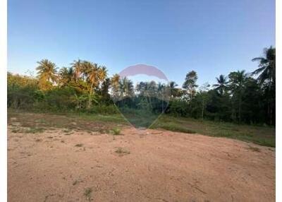 Flat Land Lipa Noi For Sale