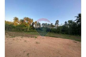 Flat Land Lipa Noi For Sale