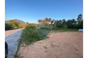 Flat Land Lipa Noi For Sale