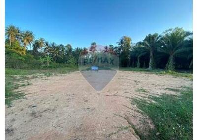 Flat Land Lipa Noi For Sale