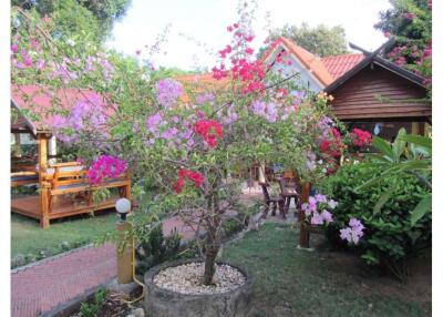 Business  Bungalows And Restaurant At Lamai Beach Koh Samui