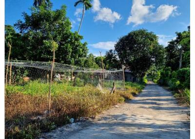 Plot Land With Nature And Mountain View