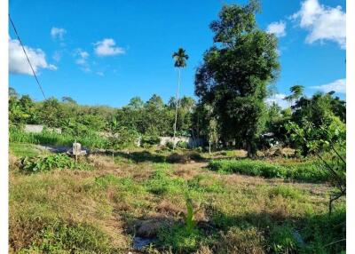 Plot Land With Nature And Mountain View