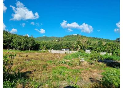 Plot Land With Nature And Mountain View