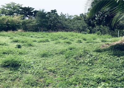 Beautiful plot of land with mountain view and close to Bang Po Beach