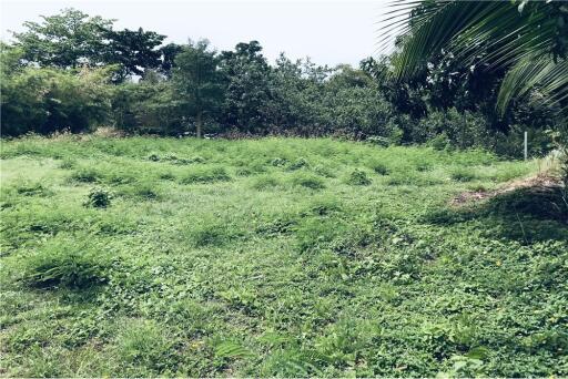 Beautiful plot of land with mountain view and close to Bangpor Beach