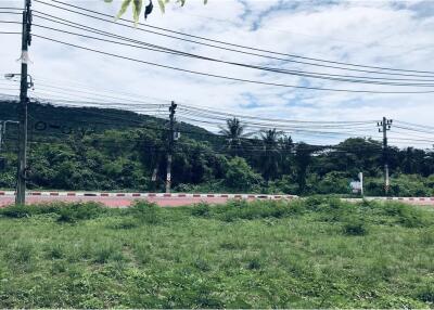 Beautiful plot of land with mountain view and close to Bang Po Beach