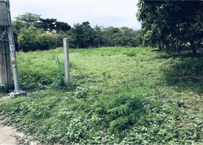 Beautiful plot of land with mountain view and close to Bang Po Beach