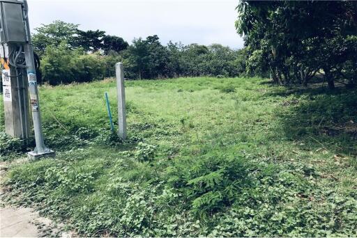 Beautiful plot of land with mountain view and close to Bangpor Beach