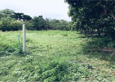 Beautiful plot of land with mountain view and close to Bang Po Beach