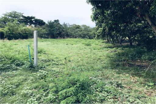 Beautiful plot of land with mountain view and close to Bangpor Beach