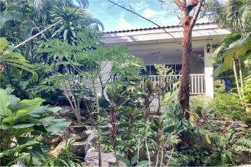 House for rent 1 bedrooms in Lamai ,Koh Samui