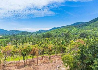 Land With Good Price At Na Mueang Koh Samui