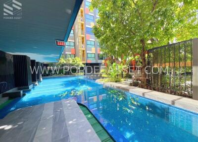 Outdoor swimming pool surrounded by trees and buildings