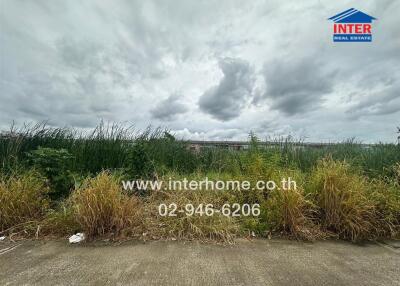 Vacant land plot under cloudy sky