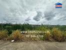 Vacant land plot under cloudy sky