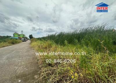 Rural road and grassy landscape