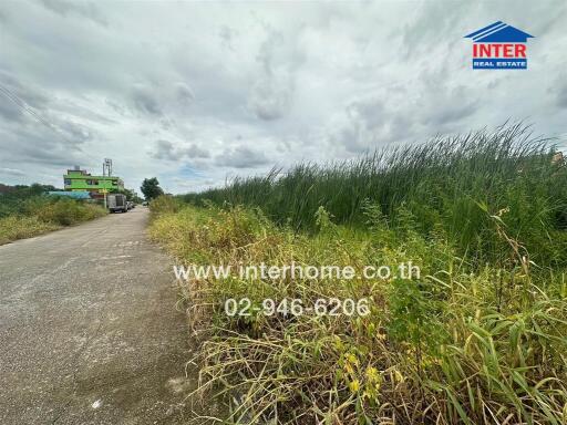 Rural road and grassy landscape