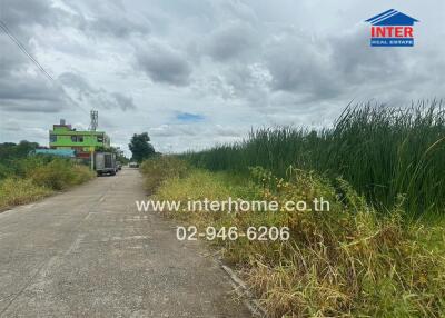 View of the neighborhood street with tall grass and buildings in the background