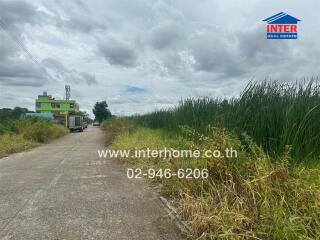 View of the neighborhood street with tall grass and buildings in the background