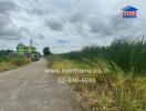 View of the neighborhood street with tall grass and buildings in the background