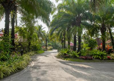 Scenic neighborhood with lush greenery and palm trees