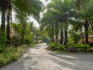 Scenic neighborhood with lush greenery and palm trees