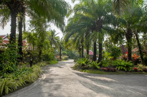 Scenic neighborhood with lush greenery and palm trees