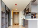 Modern kitchen with sleek grey cabinets and countertop