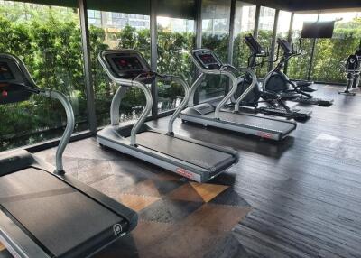 Modern gym with treadmills and exercise bikes