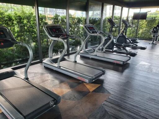 Modern gym with treadmills and exercise bikes