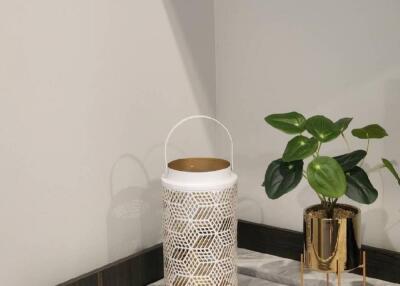 Kitchen corner with decorative plant and candle holder